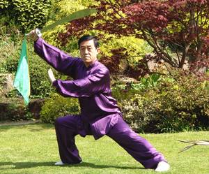 Tai Chi Qi Gong Cesena Scuola Armonia